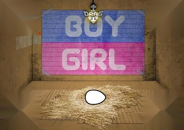 养只宠物球免费版下载_养只宠物球免费版攻略_养只宠物球下载,7k7k小游戏